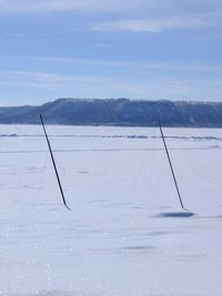 Snowcovered DN's on Lake Pepin next to the Pickle Factory
